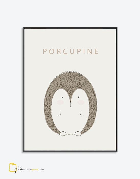 Scruffy Friends Porcupine - Floater Frame